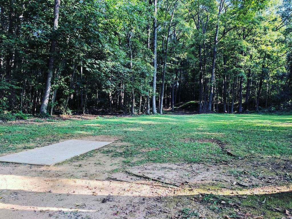 Stuart Neal tweet media