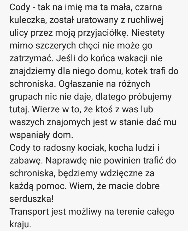 irwinekk's tweet photo. POMOZCIE, TEN KOCIAK NIE MOZE TRAFIC DO SCHRONISKA! 
PROSZE DAJCIE CHOCIAZ #RT ALBO POPYTAJCIE ZNAJOMYCH https://t.co/ncepqQa2n3