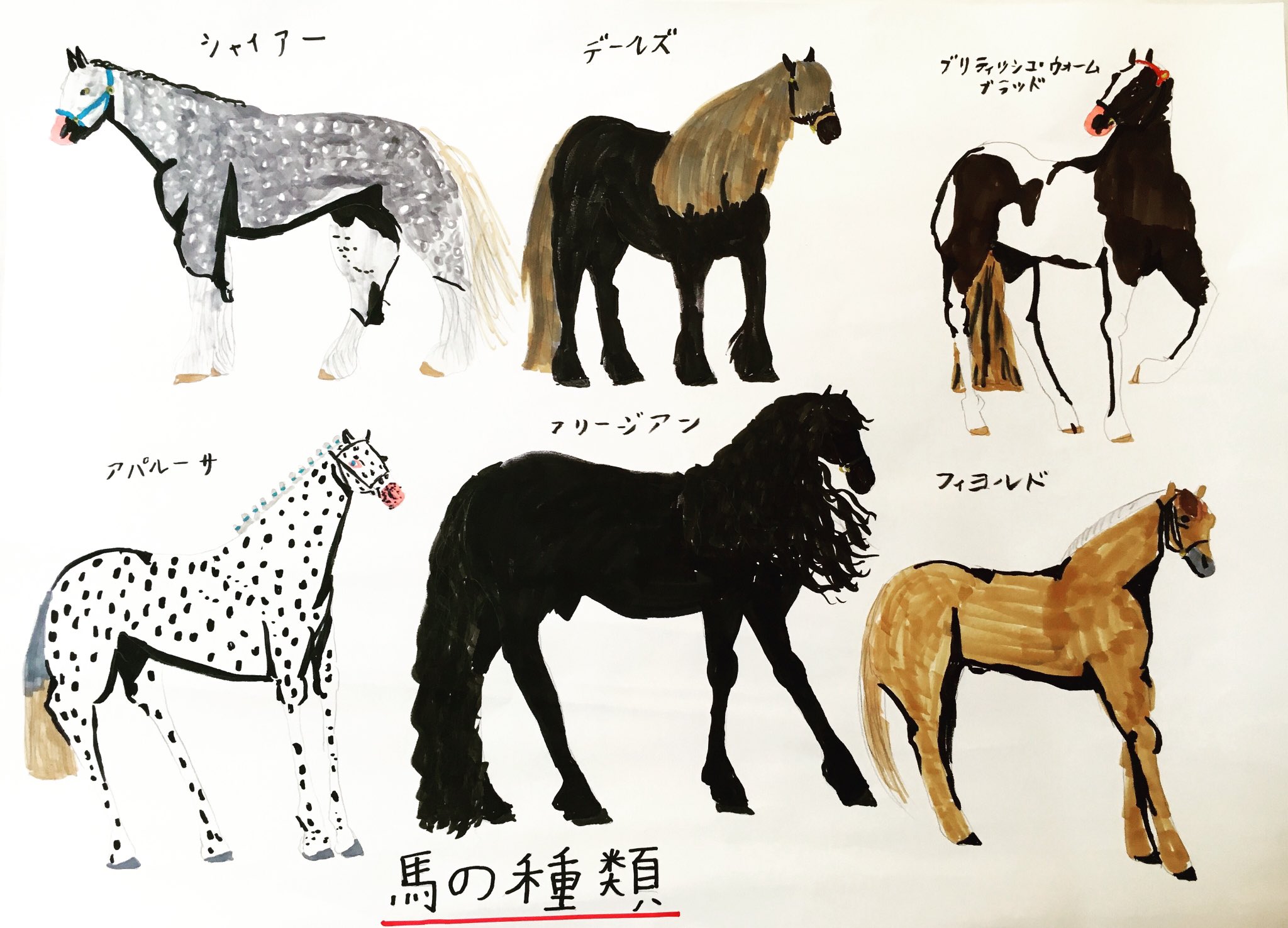 矢野り々子 Liliko Yano Ar Twitter 馬の種類 夏休み自由研究 シャイアー デールズ フリージアン ブリティッシュウォームブラッド フィヨルド アパルーサ 馬博士 かも 矢野り々子 矢野り々子 Liliko Yano Ar Twitter 馬の種類 夏休み自由研究 シャイアー デールズ フリージアン ブリティッシュウォームブラッド フィヨルド アパルーサ 馬博士 かも 矢野り々子