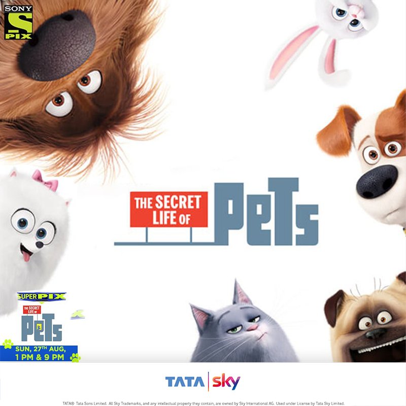 TataPlayin's tweet photo. If you love pets, then @SonyPIX is bringing you the #SuperPIX premiere of ‘The Secret Life of Pets’! #TuneIn to catch it at 9 PM. https://t.co/UlUswefUnB
