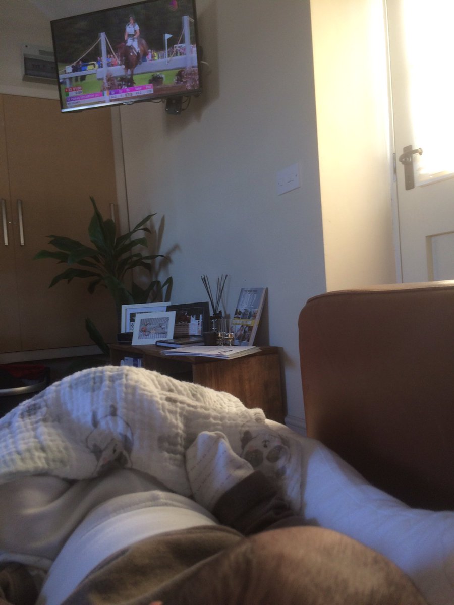DLPHorses's tweet photo. Teaching 11 day old Sophia about the most exciting sport around @EventRiderMstrs #teachthemyoung #masterinthemaking https://t.co/DDdIZl0uu6