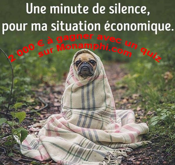 Monamphi's tweet photo. #InstantJeff est de retour ! Après un constat de retour de vacances, il a participé à un petit quiz de 10 questions: https://t.co/hMt0n5TwBE https://t.co/jQge0MdlV8