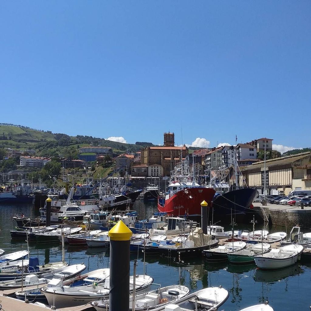 Alex Orden Lanchas tweet media