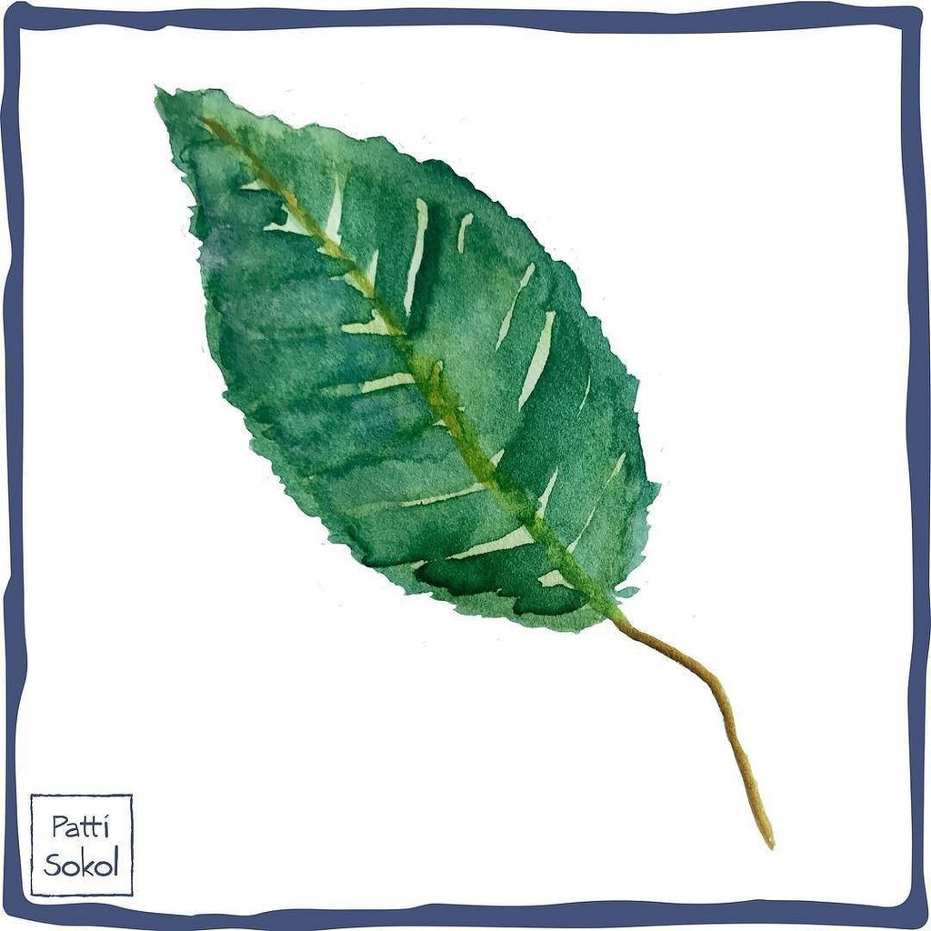 pattisokol's tweet photo. 🌱🍃🌿 .
.
.
.
.
#helloartgallery #createeveryday #printandpattern #homemadeisthebest #southfloridacreatives #cbdrawa… https://t.co/ckjlqRKTne https://t.co/mJ4wL3TShF