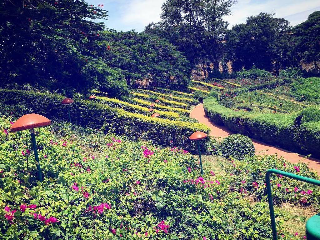 vankitgr8's tweet photo. #greenery🌿 #greeneryliving #greenery_scenery #brindavangarden #mysore #iphonephoto #iphone #iphoneography #iphoneg… https://t.co/B1r4RkymPq https://t.co/TZ505DVu3n