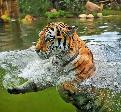 Ceramic Maruf (@ceramicmaruf) on Twitter photo 