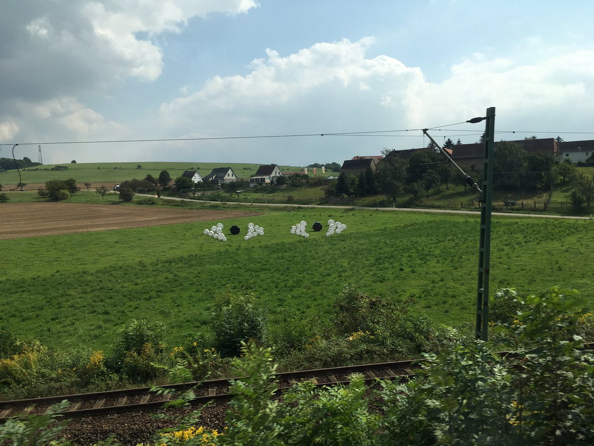 bauhaus_uni's tweet photo. Das #BewegtesLand sorgt für Riesenspaß: im Zug + draußen auf dem Feld! @WeimarKunstfest  #BauhausUni https://t.co/YRTsSyGqVZ https://t.co/SzNpsSfezJ