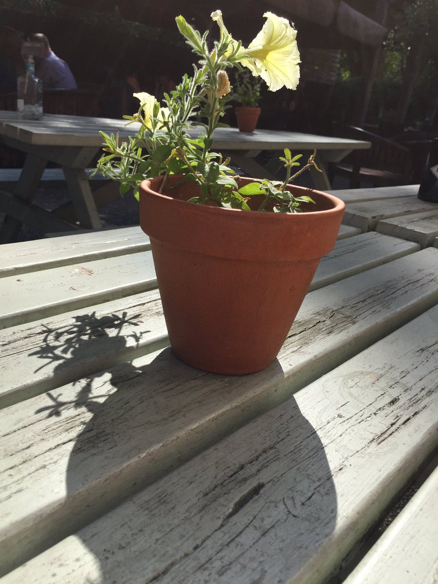 Beautiful afternoon in #rdg today. Get yourselves into our #beergarden with sunshine guaranteed til 9pm #beeroclock #ciderweather <a href="/Aspall/">Aspall</a>