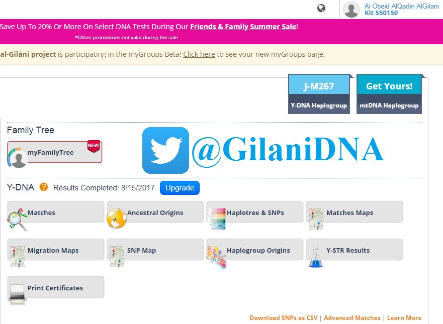 GilaniDNA's tweet photo. يسر #مشروع_الجيلاني_لفحص_الحمض_النووي إعلان نتيجة آل الشيخ عبيد الزعبي الجيلاني من مدينة الناصرة فلسطين على السلالة J1-M267 عينة رقم 550150. https://t.co/vjevrueLIR
