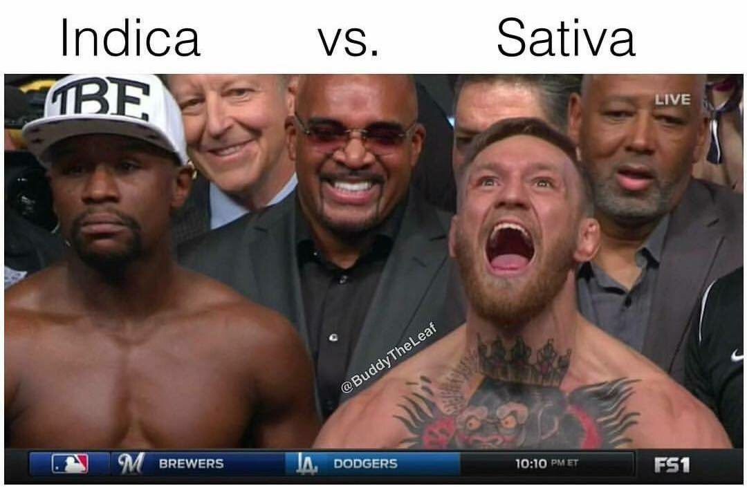 TheGreenDailyy's tweet photo. I'll just leave this here #staycrispy https://t.co/o2HmfaUlDB