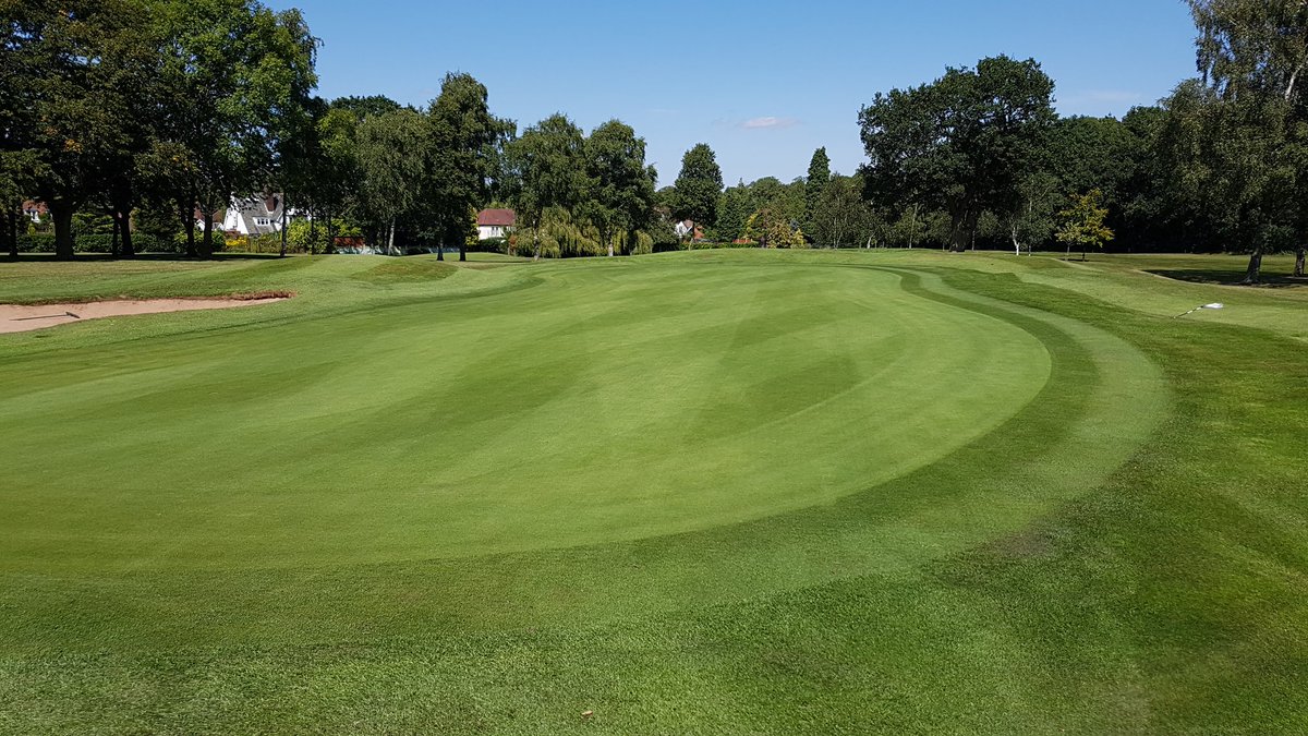 c86low's tweet image. Cup and bowl ready! #golf #greenkeeping #howfast #summer