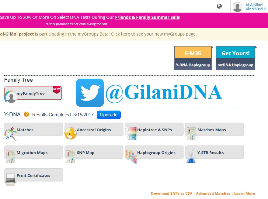 GilaniDNA's tweet photo. يسر #مشروع_الجيلاني_لفحص_الحمض_النووي إعلان نتيجة آل الشيخ زيد الكيلاني من عمان الأردن على السلالة E-M35 على 12 ماركر عينة رقم 550153 مبارك. https://t.co/D7OyyS0O5C