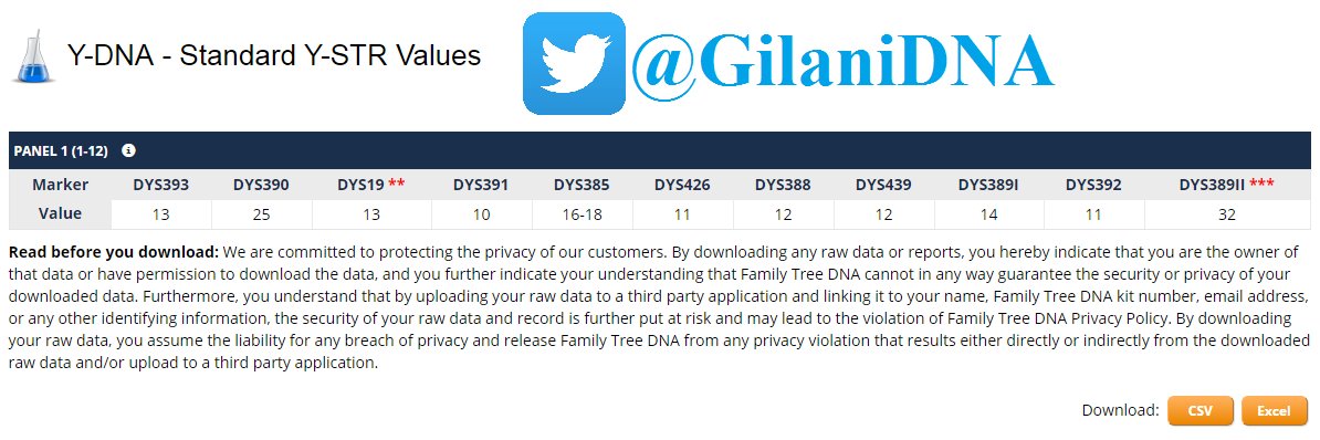 GilaniDNA's tweet photo. يسر #مشروع_الجيلاني_لفحص_الحمض_النووي إعلان نتيجة آل الشيخ زيد الكيلاني من عمان الأردن على السلالة E-M35 على 12 ماركر عينة رقم 550153 مبارك. https://t.co/D7OyyS0O5C