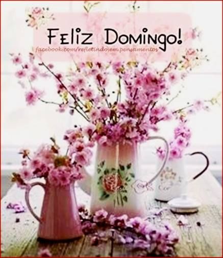 Bom dia, gente.
Domingo abençoado a todos.
Beijos!