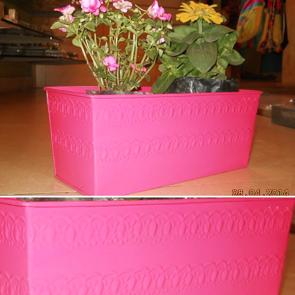 Buzzaria_'s tweet photo. Planters starting from the range of Rs.250 #planters #gardening #plantmoreplants #plantmoreflowers #greenplant #storesofdelhi #newdelhi https://t.co/WSyuvYmtaf