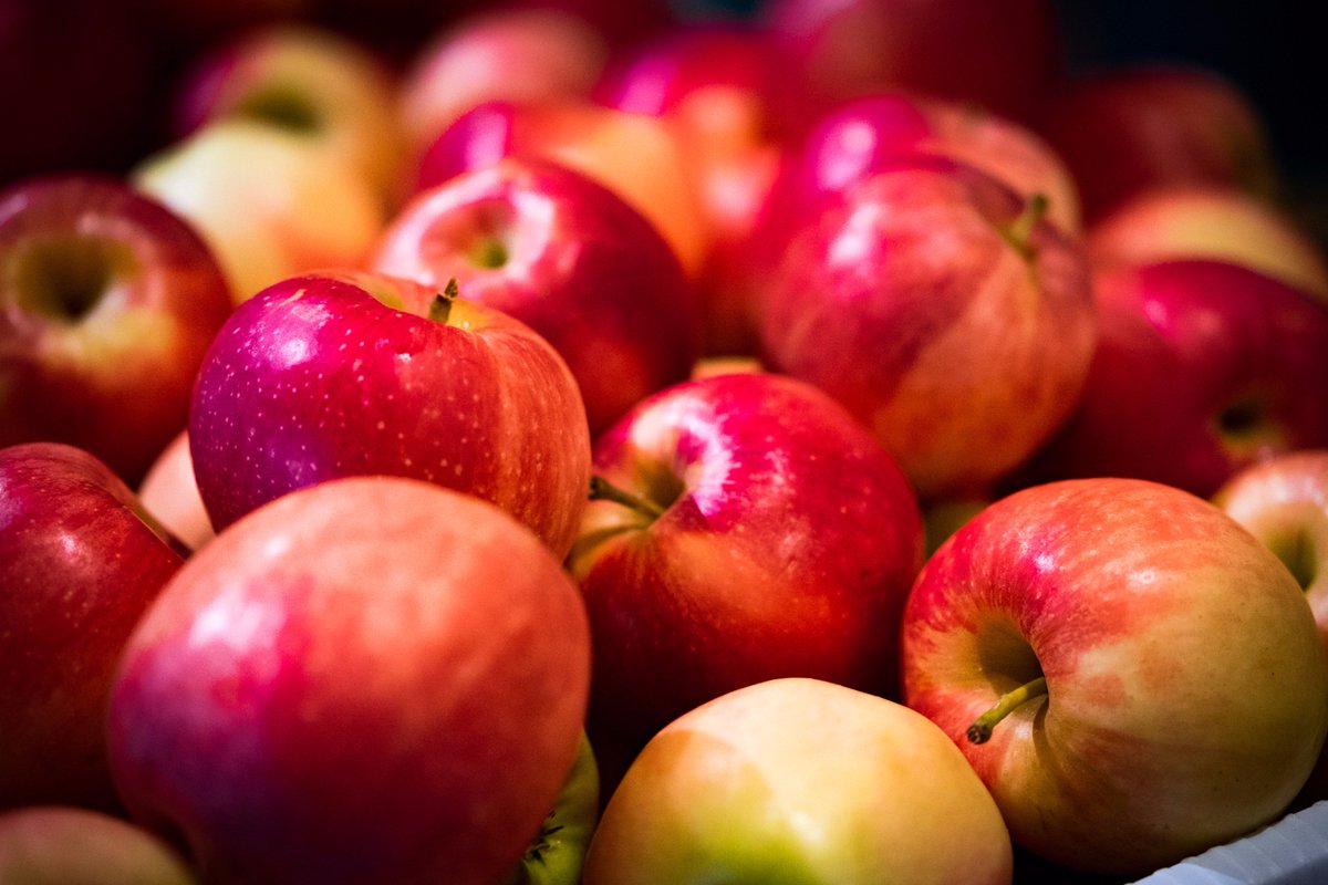 TheAppleWorks's tweet image. Scarlet Galas: Perfect for packed lunches and on-the-go snacks!