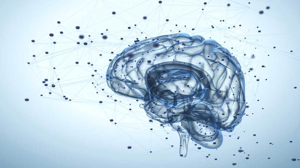 OffGridSurvivaI's tweet photo. New Alzheimer’s Treatment Completely Restores Memory Function https://t.co/PB224zLvDa https://t.co/jURzmkw6ok