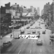 hatemcataloni's tweet photo. ألا لَيْتَ بالي. لا يُبالي..
#HD https://t.co/2IkXawmVvx