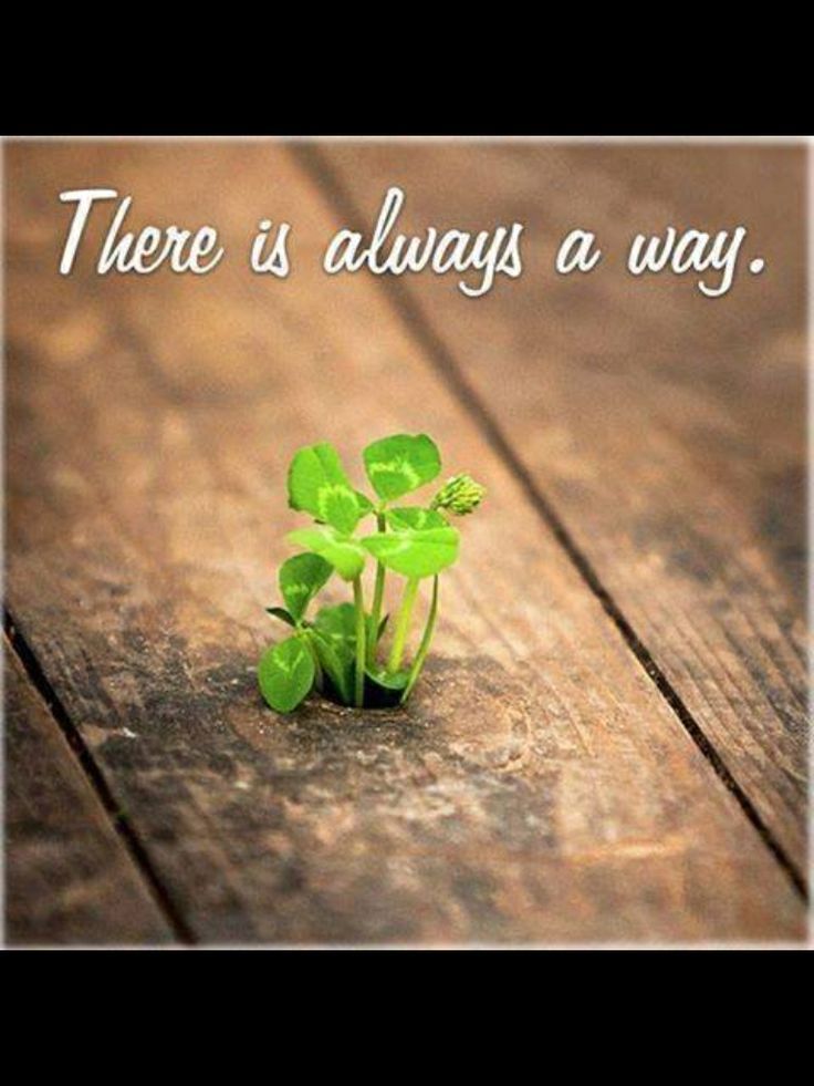 DdergoRecords's tweet photo. #quote https://t.co/GILRwYAoUu