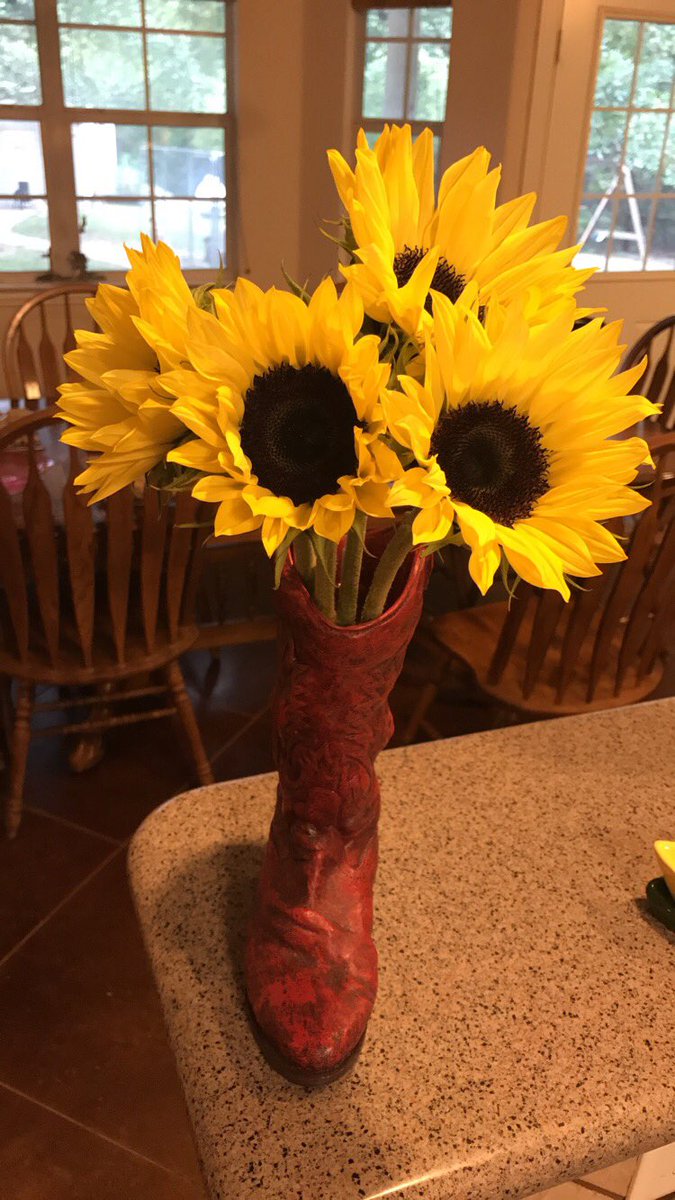 LT1128's tweet photo. "Those sunflowers are huge - like daisies on steroids" - #quotesbyTim https://t.co/M4wDKk4UEC