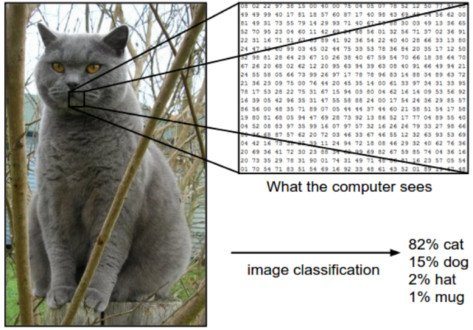 DeepLearn007's tweet photo. KDnuggets: How CNNs Accomplish Image Recognition?
#AI #MachineLearning #Deeplearning #ML #DL #tech https://t.co/5FB76J29Dc https://t.co/9qdBQPA2Ot