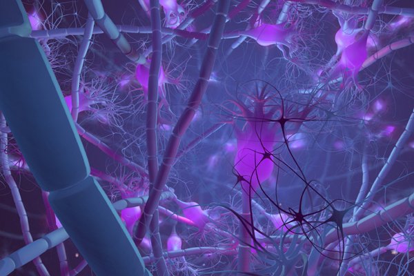 harvardmed's tweet image. Plasticity of neurons in the brain is critical to memory formation, study finds hvrd.me/hBlZ30eCW1R