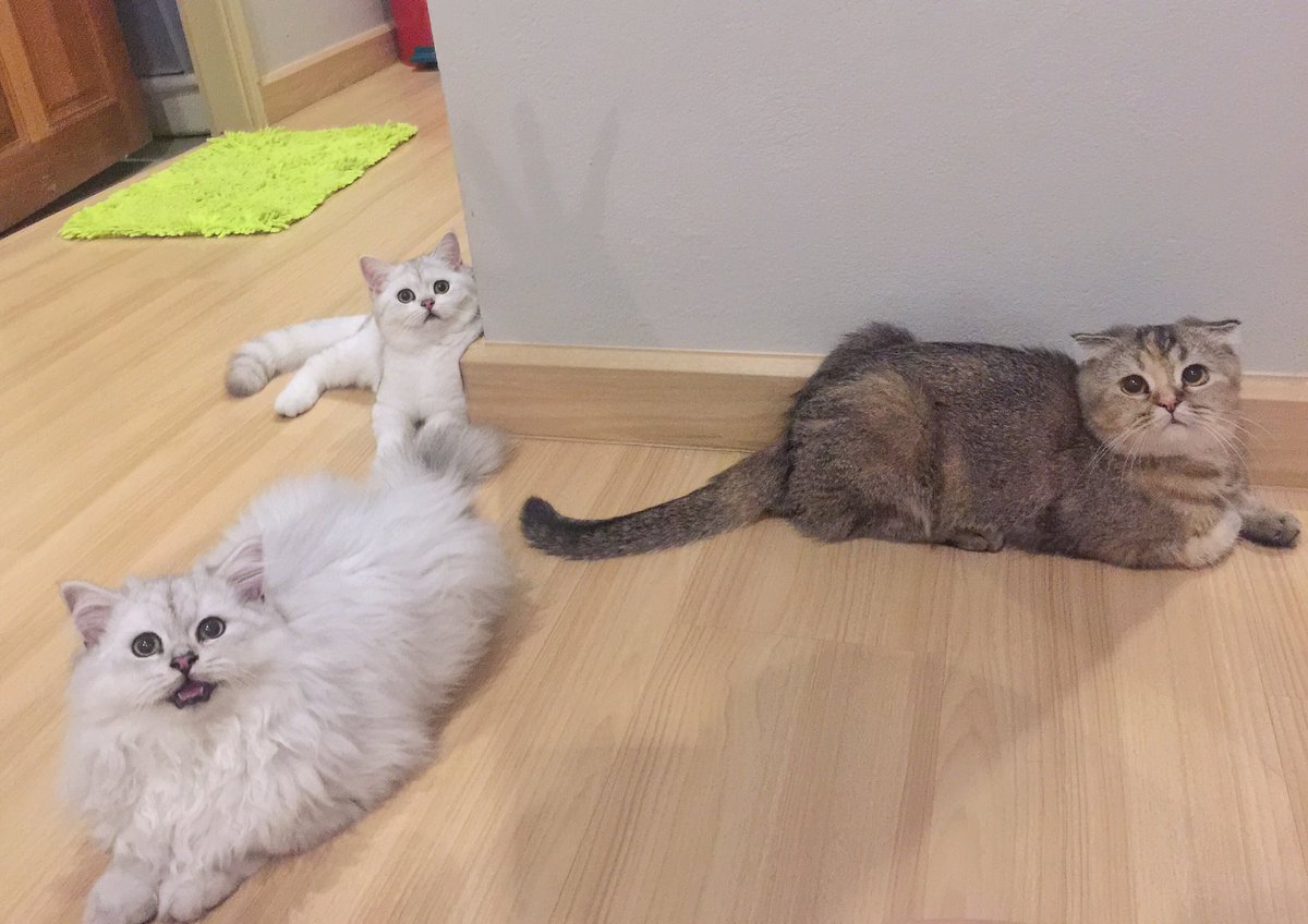 Bonusiie's tweet photo. หิวแล้วมานุดดด https://t.co/x0GqcBYqvm