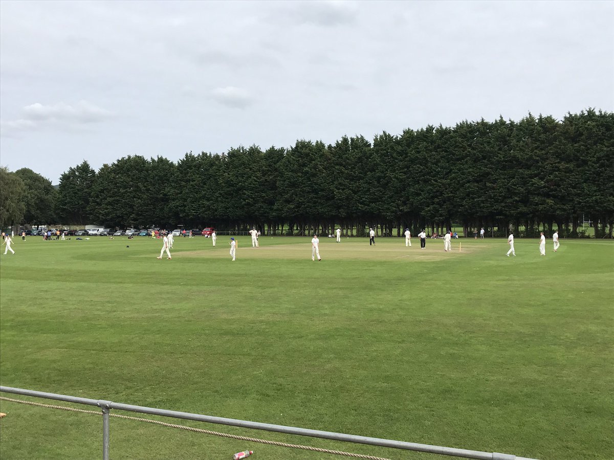 Mark White tweet media