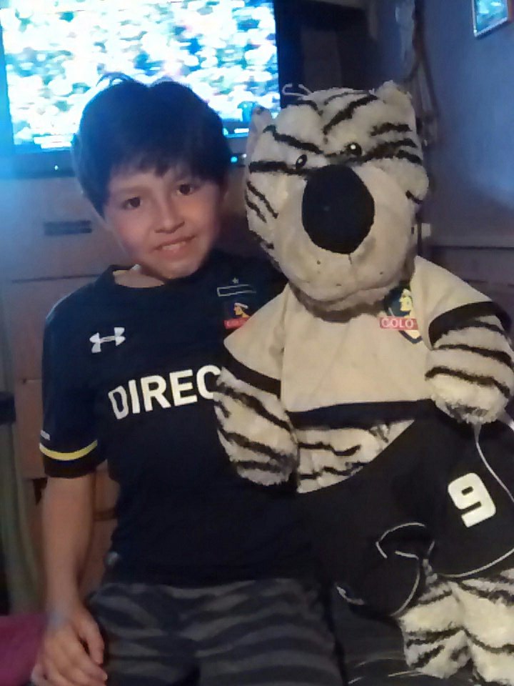 iris_gonzalez7's tweet photo. @ColoColo Goool ctm mi colocolito https://t.co/tCdEdWtIs2