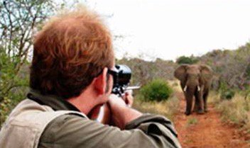 NameAndShameHTH's tweet photo. Hunting licenses DO NOT pay for wildlife refuges! They pay for hunter playgrounds, open for hunting. #funkill #vegan #banhunting #AnimalCruelty https://t.co/joCO8UKCM3