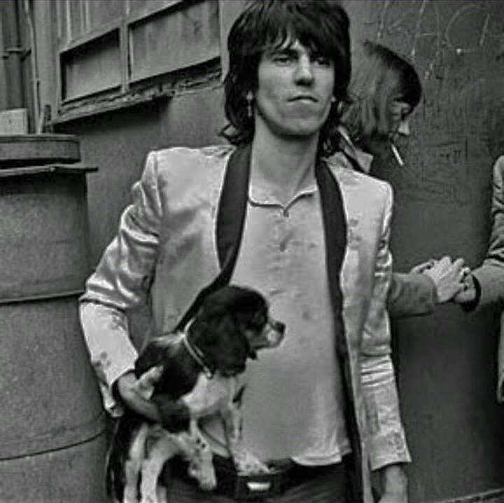 Really, though. Don't talk poor of his dogs. They're blessed little perfect creatures, and you're all scurvy infected algae munchers.