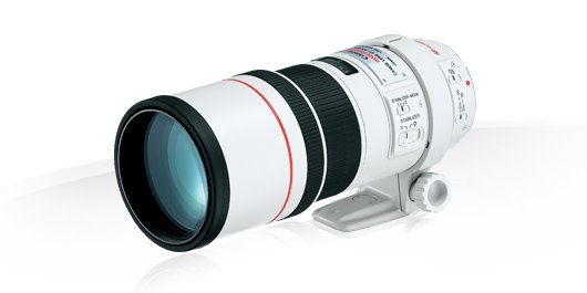 jdfocal's tweet photo. #nomenclaturas #objetivos #Canon 5/5: FTM: Permite modificar el objetivo en manual, estando en automático. https://t.co/GAdTyoss9g