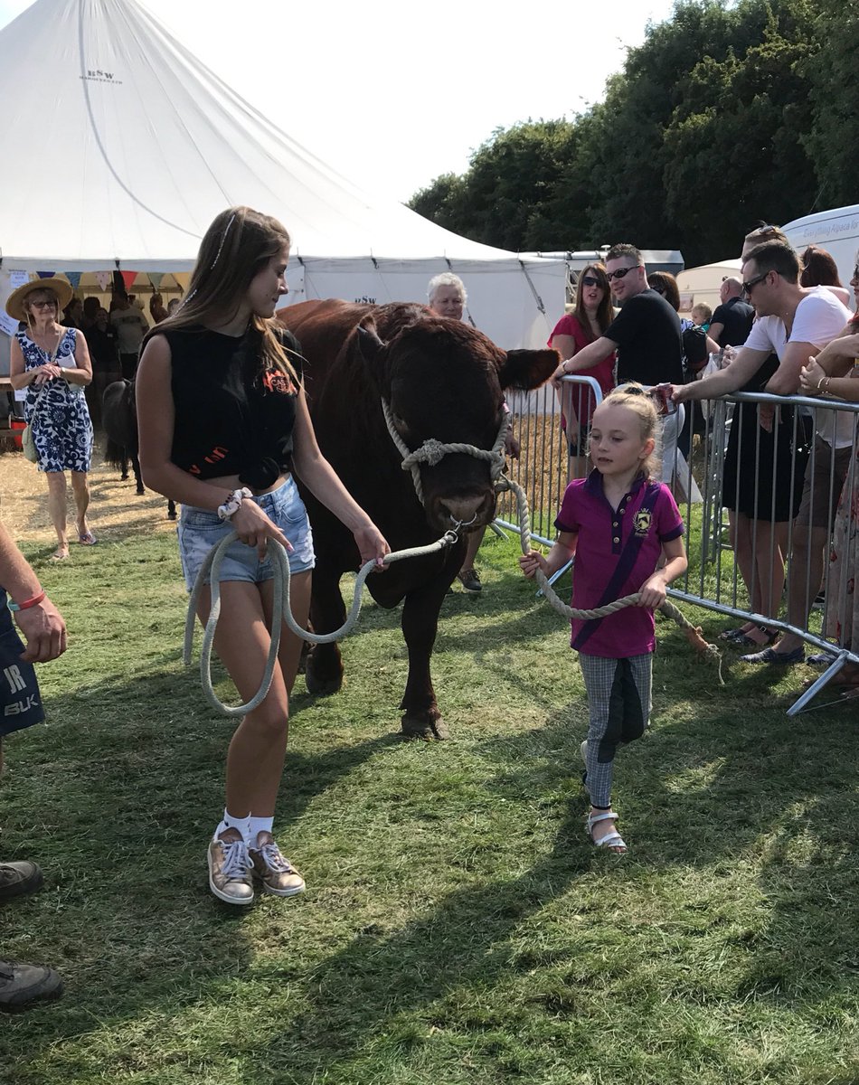 CountessWarwick's tweet photo. Teddy the bull at the show today, come along and meet him tomorrow!! #teddythebull #redpoll #cows2017 #countessofwarwickshow #countryshoe https://t.co/SwQzaU0ev2