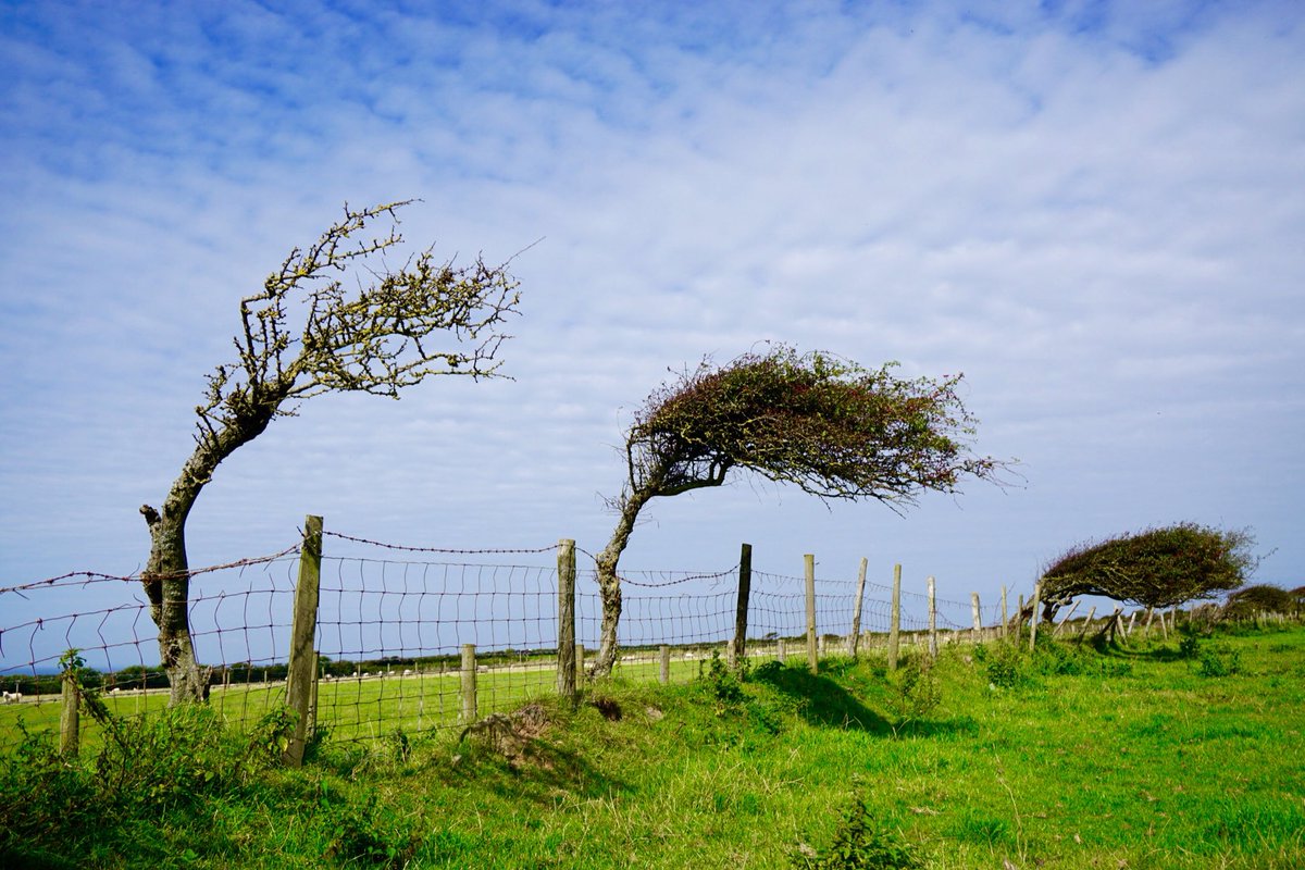 John Maclaughland tweet media