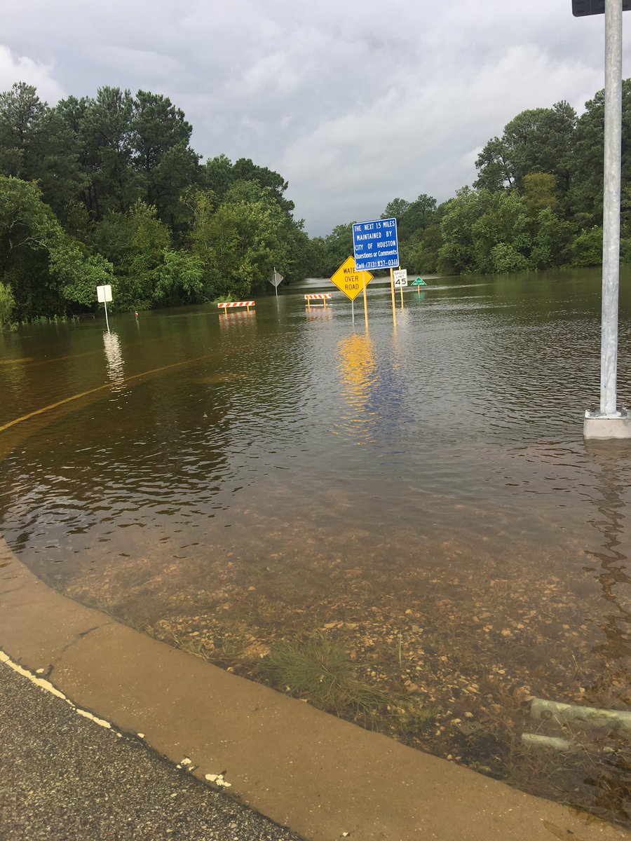 DesignsJax's tweet image. One more foot of rain and this will be in our home. #fuharvey