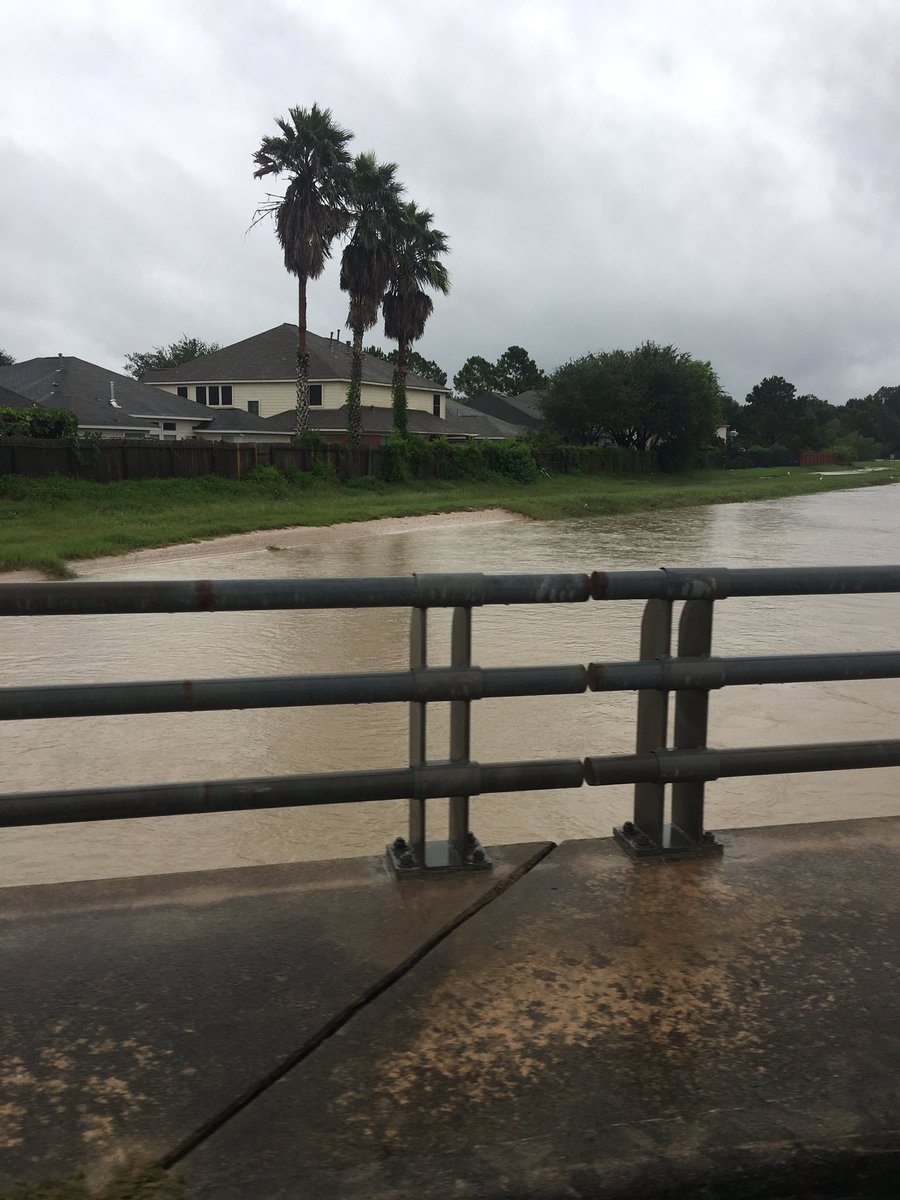 DesignsJax's tweet image. One more foot of rain and this will be in our home. #fuharvey