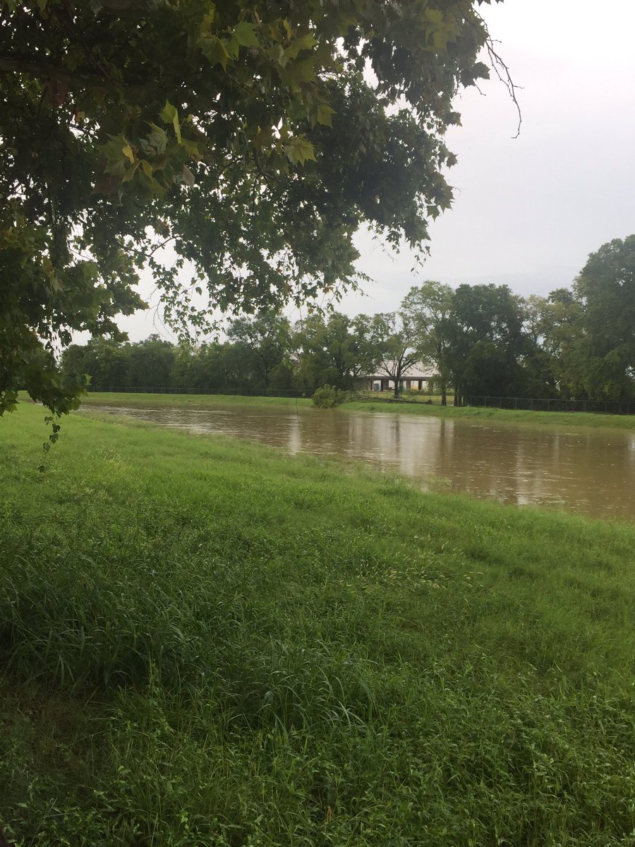 DesignsJax's tweet image. One more foot of rain and this will be in our home. #fuharvey