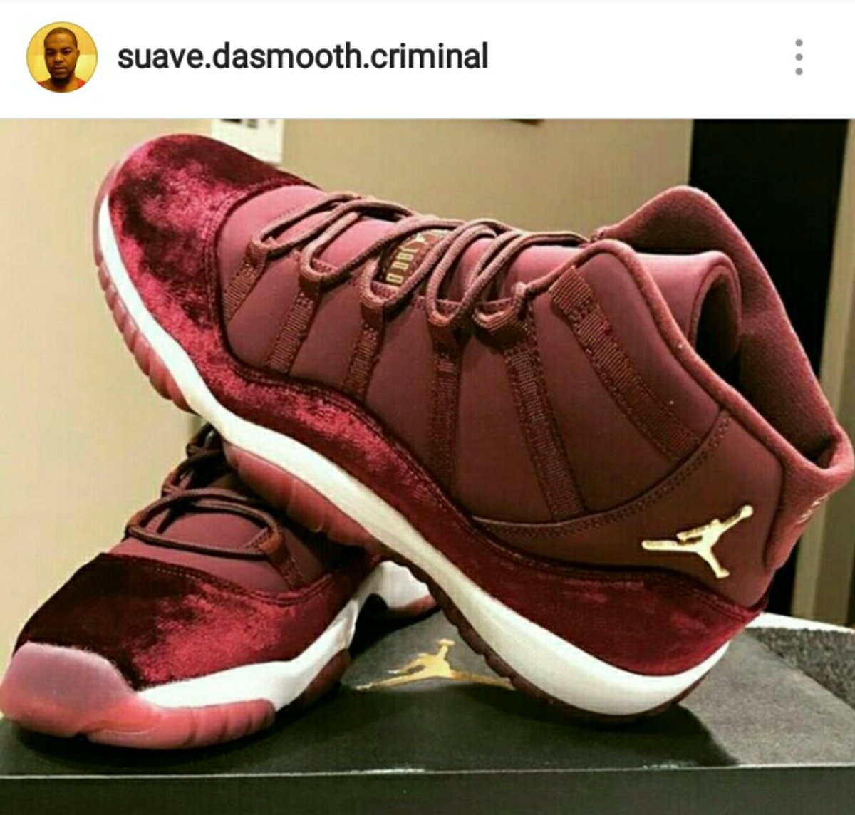 Fly By Nature tweet media