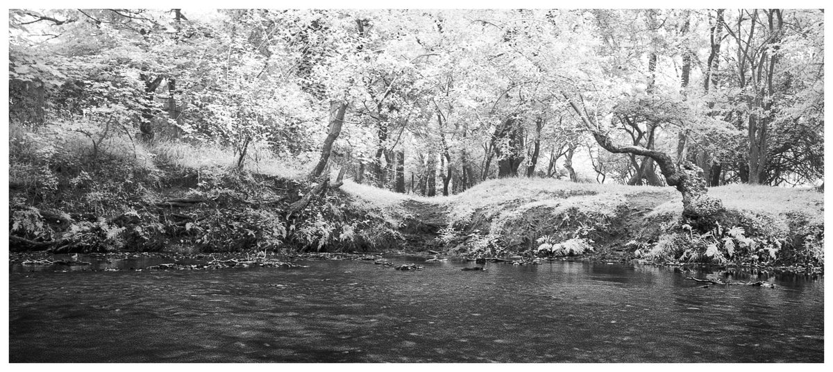 winterrosephoto's tweet photo. Final #SummerFilmParty submission, and it's a return to some Superpan 200/IR Cracking entries from everyone all week! #landscape #xpan https://t.co/U2uhBwlKQc