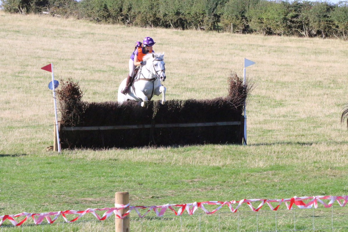 JC_Eventing's tweet photo. Not only is #solitairewillberry the youngest to complete a 2* he is probably the 1st to go #teamchasing @chiefchemopony had a ball came 2nd🎉 https://t.co/ZxJcSzz5eD