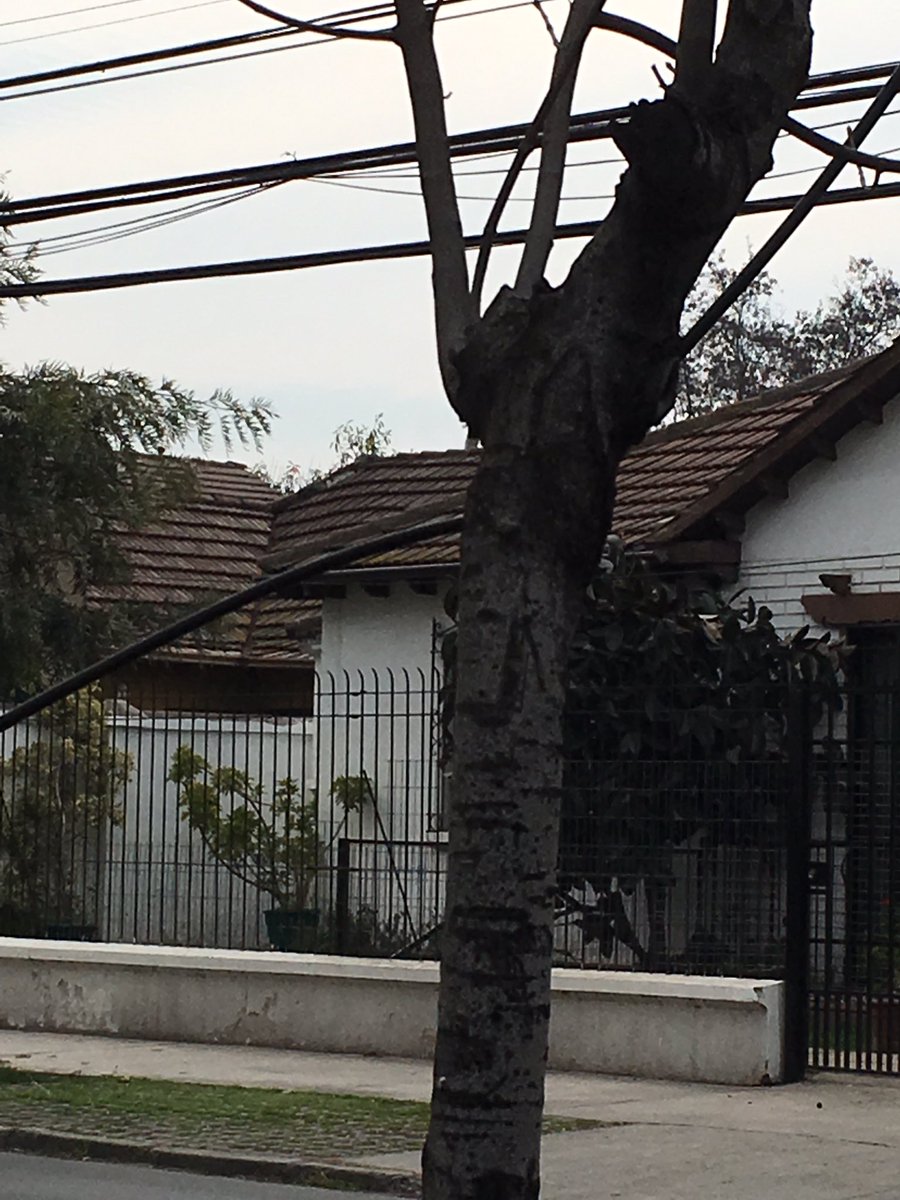 pquijarro's tweet photo. 5 días el cable caído, 5 días sin trabajar, decenas de llamadas a @VTRsoporte y nada. HASTA CUANDO!! @VTRChile #CERNAC https://t.co/dMTwASxdpT