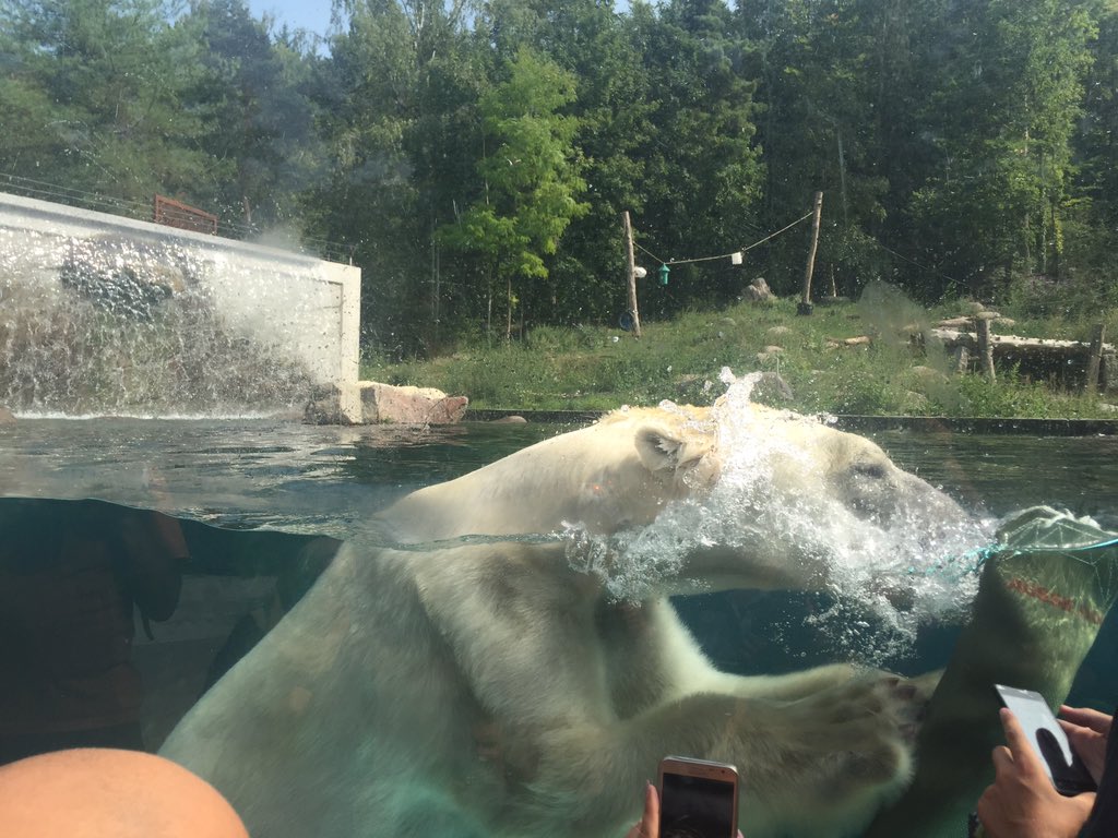 dklopfenstein90's tweet photo. Je ne me lasse jamais d'admirer ces p'tites bêtes ! #zoo #mulhouse https://t.co/ZEJCO3chqf
