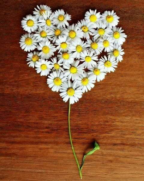 Vefa;kendini bilmektir.
Dönüp bakmaktır.
Yapılan iyiliği, verilen emeği unutmamaktır.. 🌼