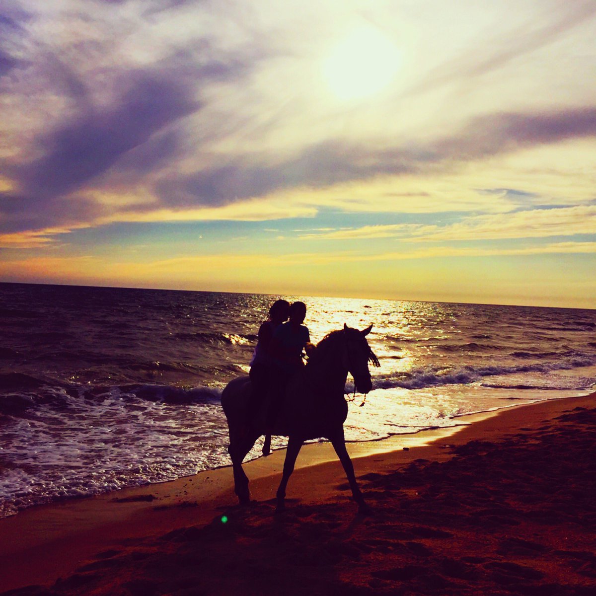 abmillanr's tweet photo. @Ilovedonana @donanaexp @matalascanass @playadedonana @TurismoAlmonte https://t.co/Ve5WjJzSup
