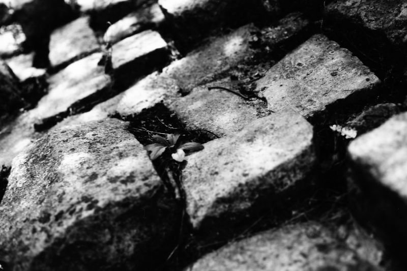 achatainfr's tweet photo. Pierre 2 – Stone 2 for the 2nd @summerfilmparty entry today (Washi A 12iso) #SummerFilmParty #FilmWashiA #Abstract https://t.co/aL3wOw6iFh