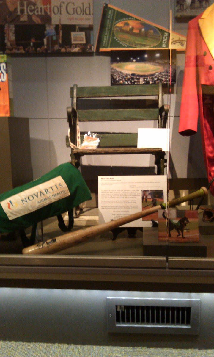 GsoHistryMuseum's tweet photo. Miss Babe Ruth, batdog Class A Gso Grasshoppers, retired in 2015 after 649 games, paw-delivered to us &amp; is @baseballhall #NationalDogDay https://t.co/dQcDSwIRsK