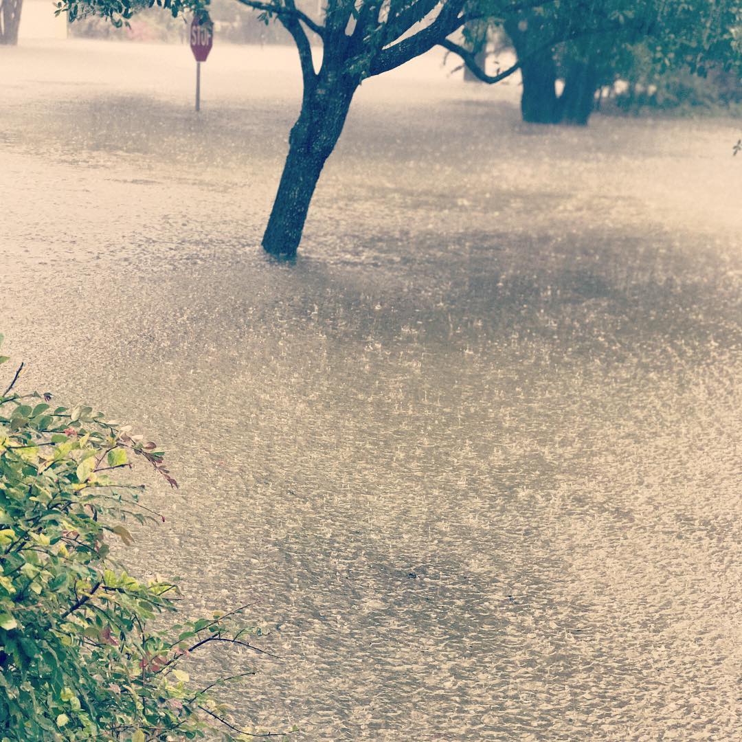 BreneBrown's tweet photo. This is from my front door. That is an 8 ft stop sign. Steve is back from rescuing a family across the street in... https://t.co/fVhXYAwD8J https://t.co/eLljCJT1D6