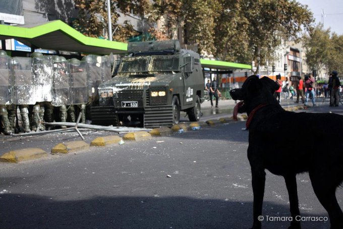 Ver imagen en Twitter