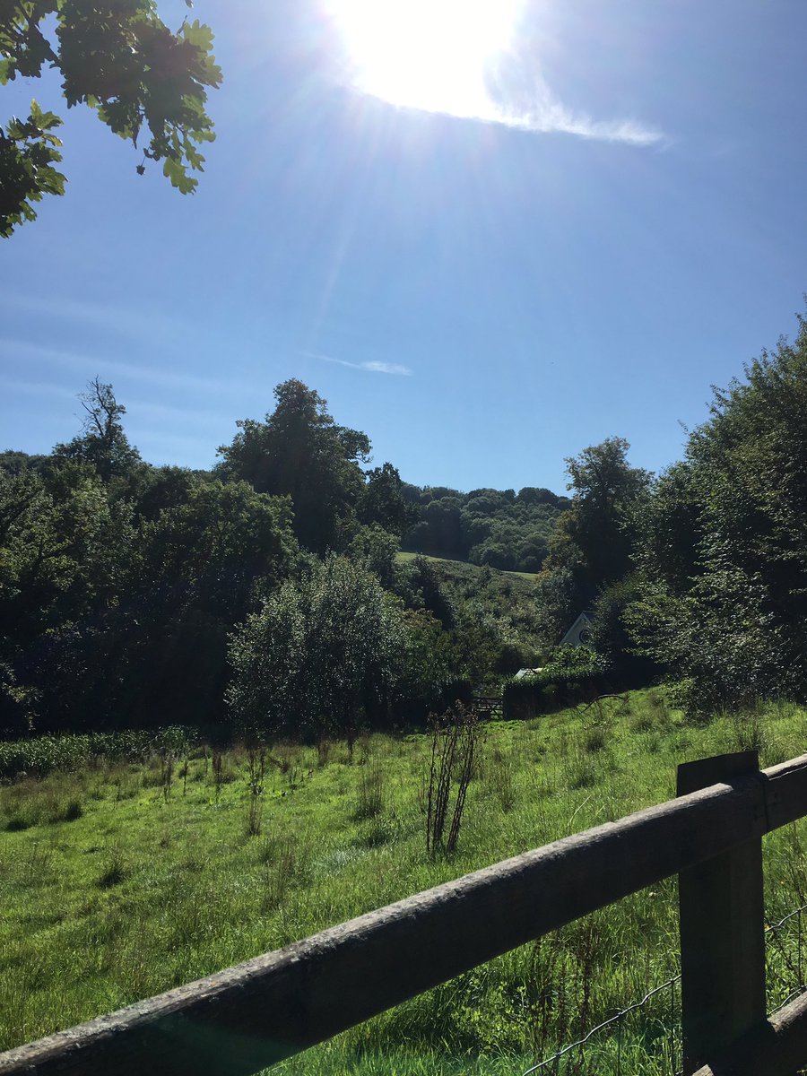 SarahDScire's tweet photo. Lovely day for a wander βοΈπ³πΏπΎ#getoutside #Valetrails #salmonleaps https://t.co/chYcr3jvMp