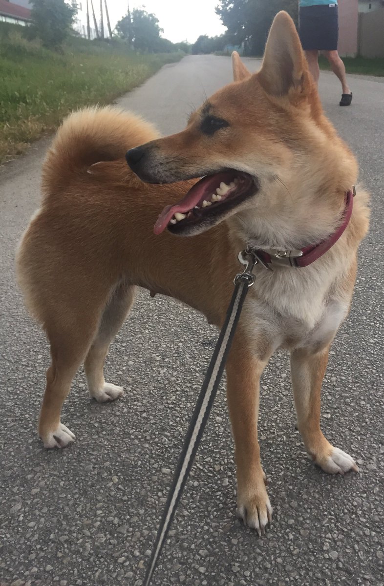 silence before the storm o.0
m.youtube.com/channel/UCWqg1…